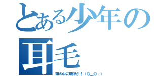 とある少年の耳毛（頭の中に爆弾が！（◎＿◎；））