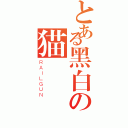 とある黑白の猫（ＲＡＩＬＧＵＮ）