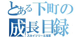 とある下町の成長目録（スカイツリー＆浅草）