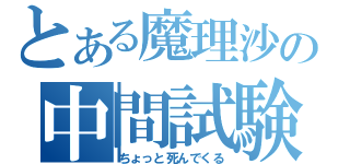 とある魔理沙の中間試験（ちょっと死んでくる）