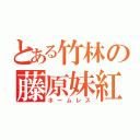 とある竹林の藤原妹紅（ホームレス）