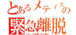 とあるメティスの緊急離脱（メティスは眠いから寝る）