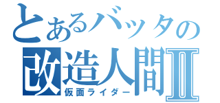 とあるバッタの改造人間Ⅱ（仮面ライダー）