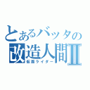 とあるバッタの改造人間Ⅱ（仮面ライダー）