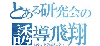 とある研究会の誘導飛翔体（ロケットプロジェクト）