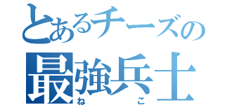 とあるチーズの最強兵士（ねこ）