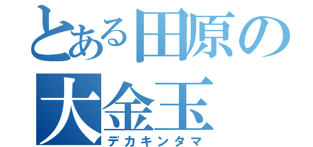 とある田原の大金玉（デカキンタマ）