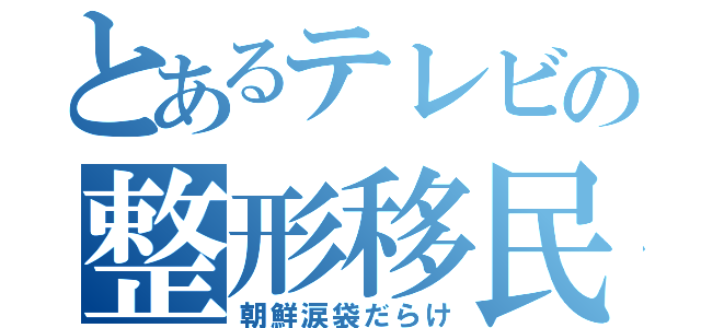 とあるテレビの整形移民（朝鮮涙袋だらけ）