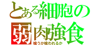 とある細胞の弱肉強食（喰うか喰われるか）