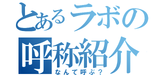 とあるラボの呼称紹介（なんて呼ぶ？）