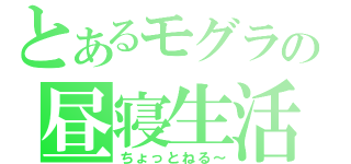 とあるモグラの昼寝生活（ちょっとねる～）