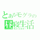 とあるモグラの昼寝生活（ちょっとねる～）