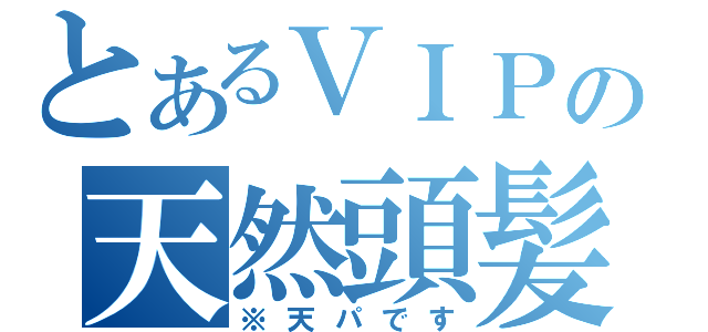 とあるＶＩＰの天然頭髪（※天パです）