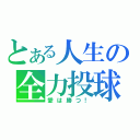 とある人生の全力投球（愛は勝つ！）