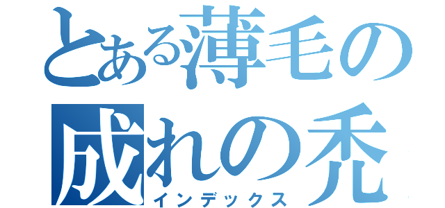 とある薄毛の成れの禿（インデックス）