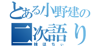 とある小野建の二次語り（妹ほちぃ）