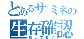 とあるサミネの生存確認（息してる？）