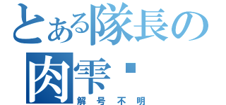 とある隊長の肉雫唼（解号不明）