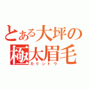 とある大坪の極太眉毛（カリントウ）