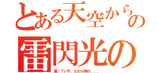 とある天空からの雷閃光の突（鳥！？いや。ただの神か。。。）