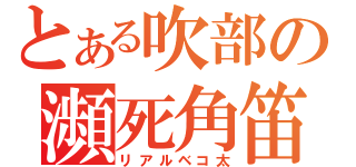 とある吹部の瀕死角笛（リアルベコ太）