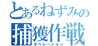 とあるねずみの捕獲作戦（オペレーション）