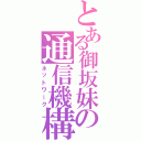 とある御坂妹の通信機構（ネットワーク）