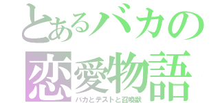 とあるバカの恋愛物語（バカとテストと召喚獣）