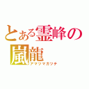 とある霊峰の嵐龍（アマツマガツチ）