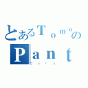 とあるＴｏｍｏｋｉのＰａｎｔｓ（Ｓｏｒａ）