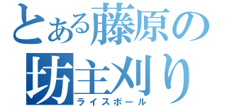 とある藤原の坊主刈り（ライスボール）