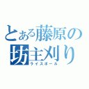 とある藤原の坊主刈り（ライスボール）