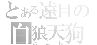 とある遠目の白狼天狗（犬走椛）