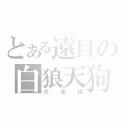 とある遠目の白狼天狗（犬走椛）