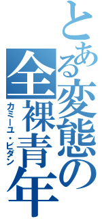 とある変態の全裸青年（カミーユ・ビダン）