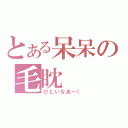 とある呆呆の毛眈（ひといなあ～！）