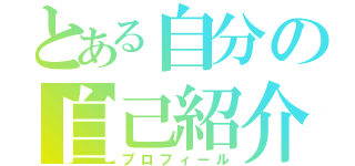 とある自分の自己紹介（プロフィール）