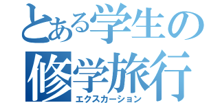 とある学生の修学旅行（エクスカーション）