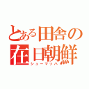 とある田舎の在日朝鮮（シューマッハ）