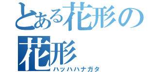 とある花形の花形（ハッハハナガタ）