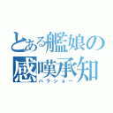 とある艦娘の感嘆承知（ハラショー）