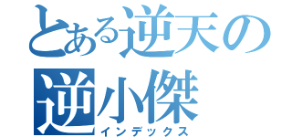 とある逆天の逆小傑（インデックス）