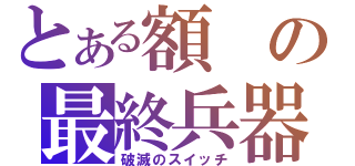 とある額の最終兵器（破滅のスイッチ）