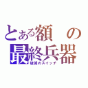 とある額の最終兵器（破滅のスイッチ）