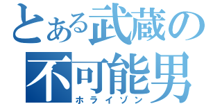 とある武蔵の不可能男（ホライゾン）