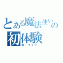 とある魔法使いの初体験（脱・チェリー）