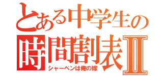 とある中学生の時間割表Ⅱ（シャーペンは俺の嫁）