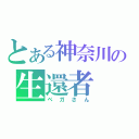 とある神奈川の生還者（ペガさん）