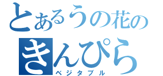 とあるうの花のきんぴら太郎（ベジタブル）