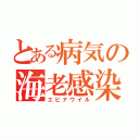 とある病気の海老感染（エビナウイル）